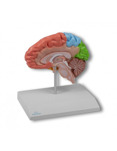 Visualizza ingrandito Erler Zimmer,...