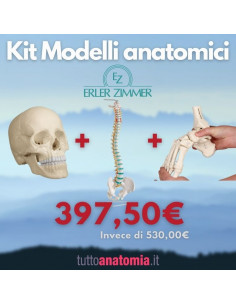 Kit Cranio bianco 22 parti...