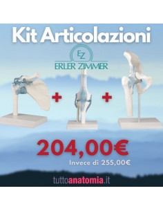 Kit Articolazione...