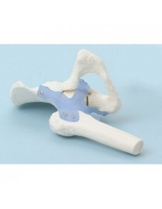 Erler Zimmer, modello...