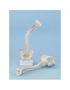 Erler Zimmer, modello di...