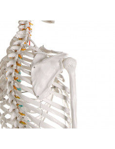 Erler Zimmer, modello di...