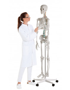 Erler Zimmer, modello di... 2