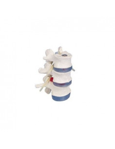 Erler Zimmer modello...