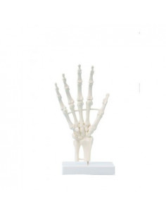 Erler Zimmer, modello...