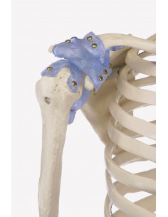 Erler Zimmer, modello... 2