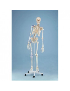 Erler Zimmer, modello...