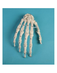 Erler Zimmer, modello...