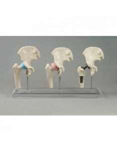 Erler Zimmer, modello...