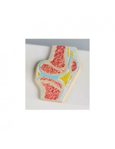 Erler Zimmer, modellino...