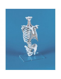 Erler Zimmer modello di...