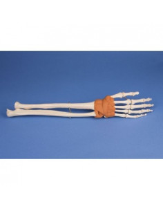 Erler Zimmer modello...