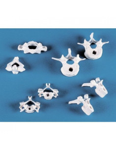 Erler Zimmer, collezione di...