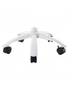 3B Scientific, Base in...