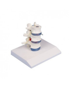 Erler Zimmer modello...