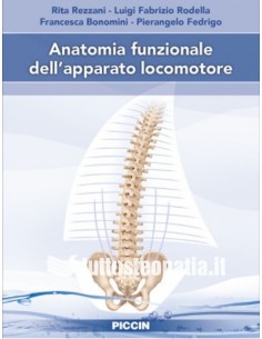 Anatomia funzionale...