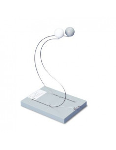 3B Scientific. Confronto...